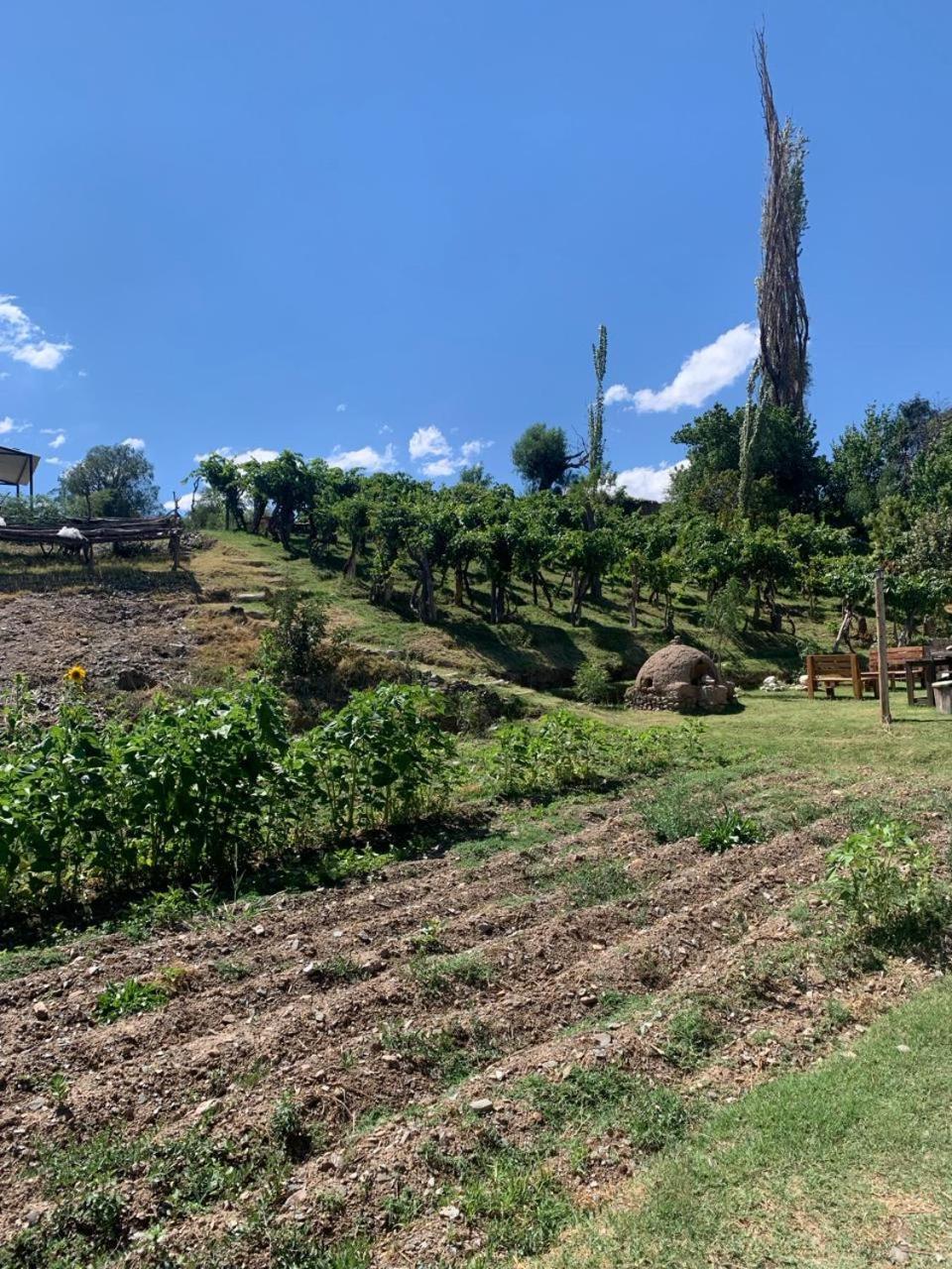 Cabana Cortaderas Mi Campito Cachi Salta Dış mekan fotoğraf